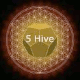 5 Hive - 5-MeO-DMT Forum