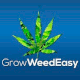 GrowWeedEasy.com GrowWeedEasy.com