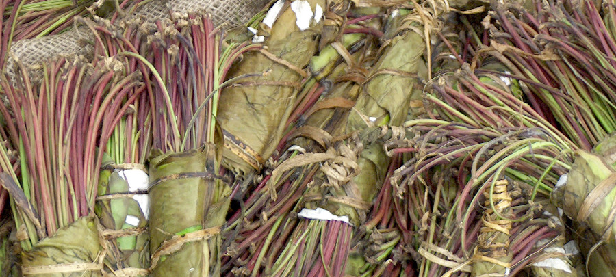 Khat