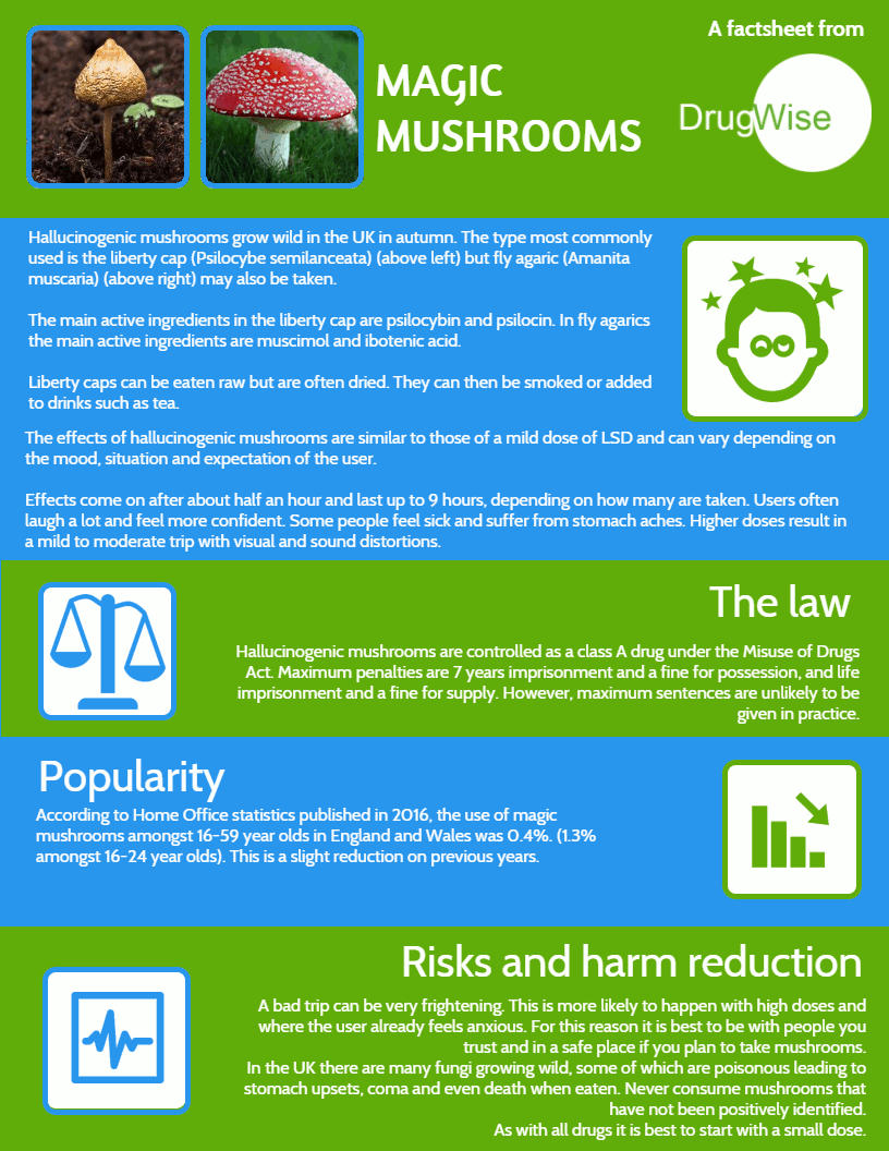 Magic Mushrooms Factsheet