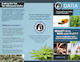 DATIA PDF Marijuana