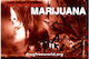 Drugfreeworld PDF Marijuana