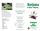 NDIC PDF Marijuana
