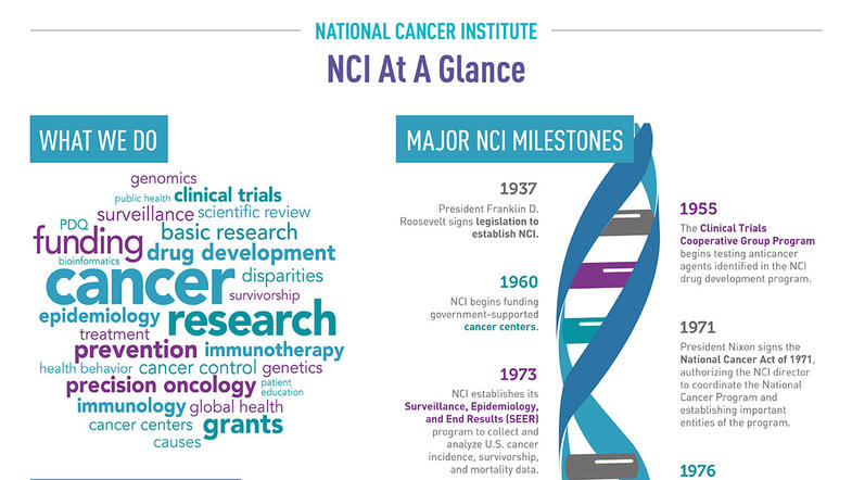 National Cancer Institute at a glance