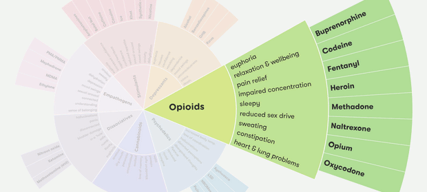 Opiods Drug Wheel