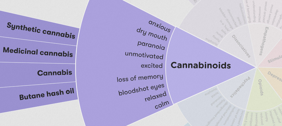 Synthetic Cannabis Drug Wheel