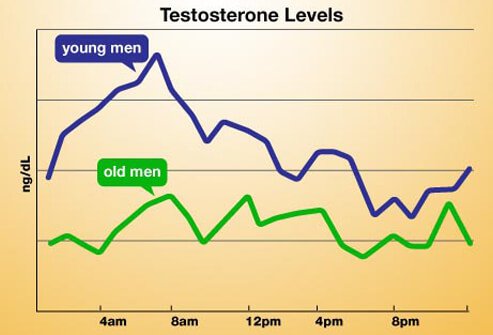 Testosterone Levels