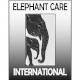 Elephant Care International
